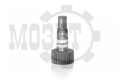 ���-�������� �4-01.01.02.024-03